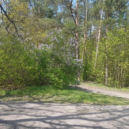 Osada Leśna Zamordeje Mazury