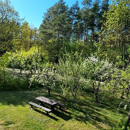 Nocleg ze śniadaniem Osada Leśna Zamordeje Mazury