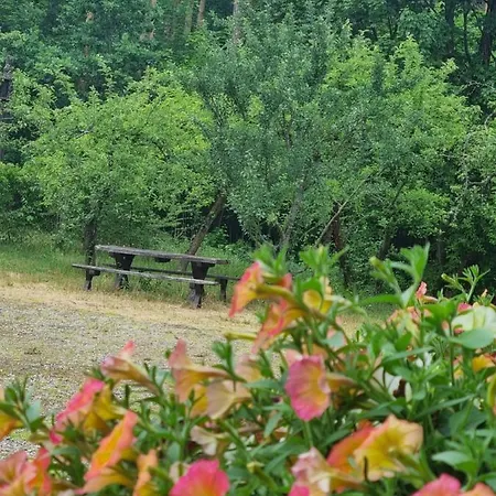 Nocleg ze śniadaniem Osada Leśna Zamordeje Mazury Karwica
