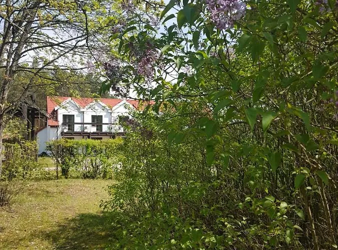 住宿加早餐酒店 