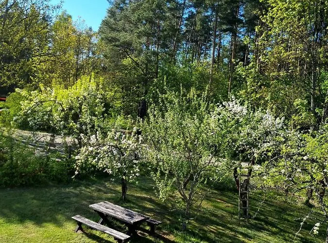 住宿加早餐酒店 