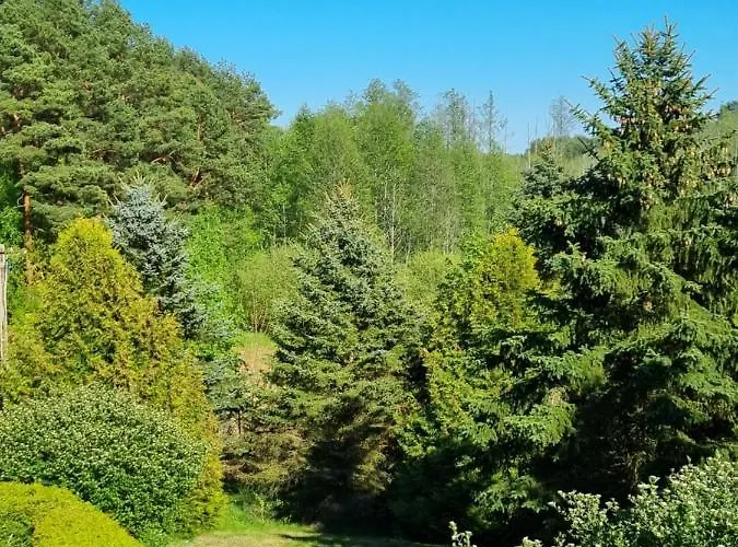住宿加早餐酒店 
